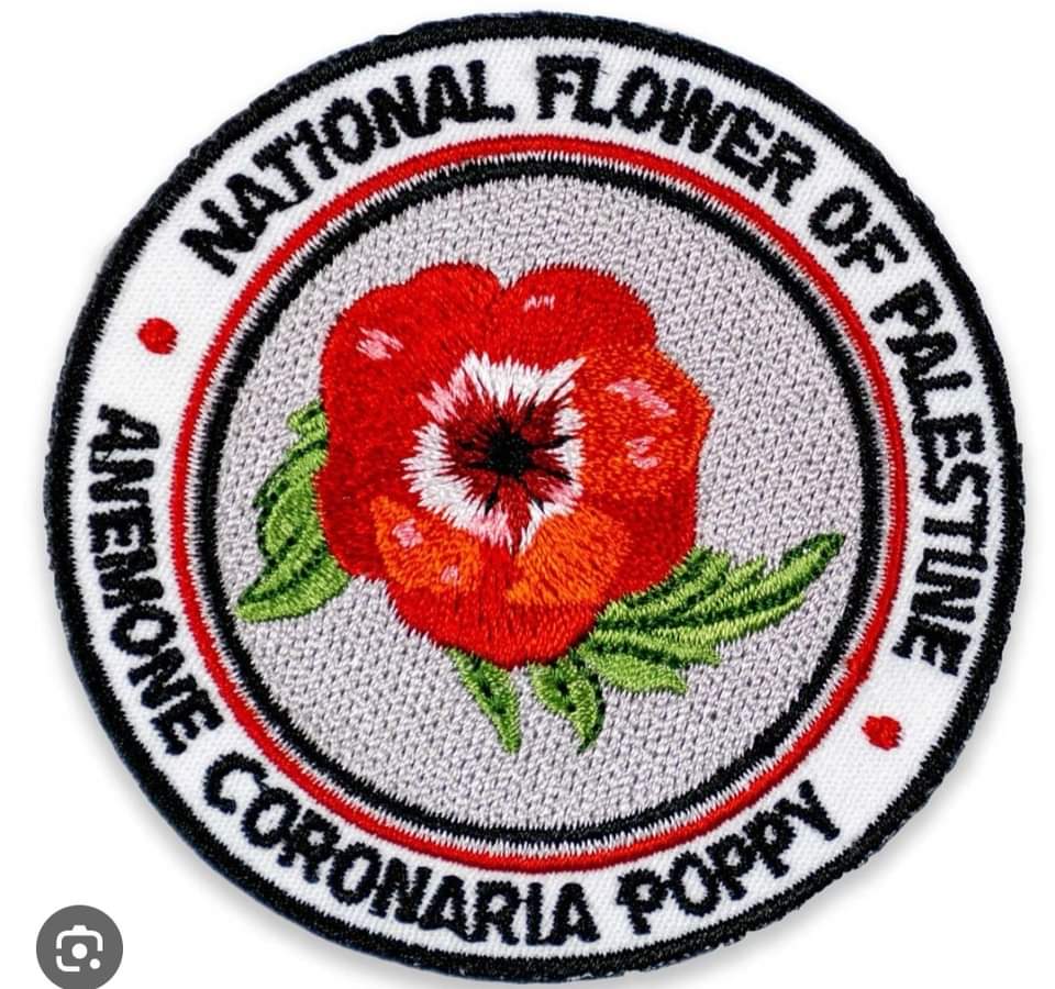 Israel-Palestine Peace Process: Looking for a Way Forward. - Next